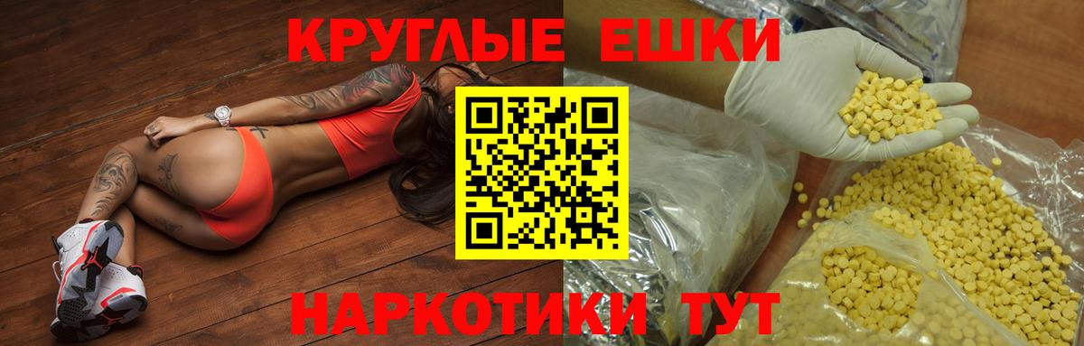 ЭКСТАЗИ Philipp Plein  Вход с VPN  Ялта  Ecstasy  Ecstasy ешки 