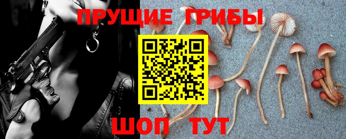 Псилоцибиновые грибы GOLDEN TEACHER Ялта