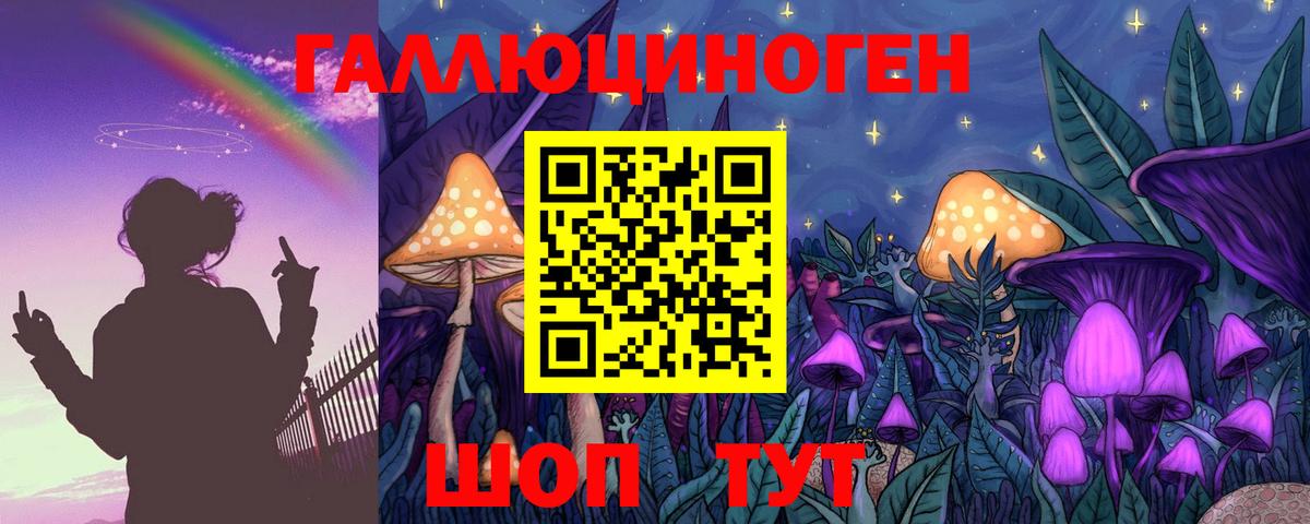 Псилоцибиновые грибы GOLDEN TEACHER  Вход с VPN  Галлюциногенные грибы прущие грибы  Ялта 